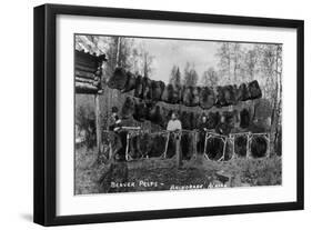 Anchorage, Alaska - View of Beaver Pelts and Trappers-Lantern Press-Framed Art Print