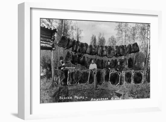 Anchorage, Alaska - View of Beaver Pelts and Trappers-Lantern Press-Framed Art Print