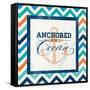 Anchored-null-Framed Stretched Canvas