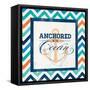 Anchored-null-Framed Stretched Canvas