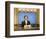 Anchorman: The Legend of Ron Burgundy-null-Framed Photo