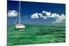 Anchors Away-Jan Michael Ringlever-Mounted Premium Giclee Print