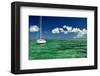 Anchors Away-Jan Michael Ringlever-Framed Art Print