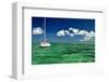 Anchors Away-Jan Michael Ringlever-Framed Art Print