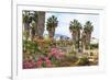 Ancient Agora, Bougainvillea and palm trees, Greek, Roman and Byzantine ruins, Kos Town, Kos, Dodec-Eleanor Scriven-Framed Photographic Print