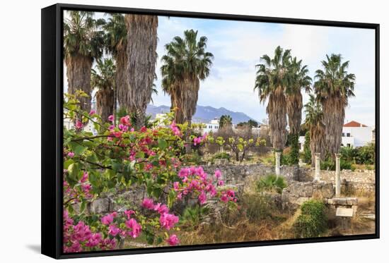 Ancient Agora, Bougainvillea and palm trees, Greek, Roman and Byzantine ruins, Kos Town, Kos, Dodec-Eleanor Scriven-Framed Stretched Canvas