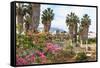 Ancient Agora, Bougainvillea and palm trees, Greek, Roman and Byzantine ruins, Kos Town, Kos, Dodec-Eleanor Scriven-Framed Stretched Canvas