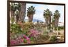 Ancient Agora, Bougainvillea and palm trees, Greek, Roman and Byzantine ruins, Kos Town, Kos, Dodec-Eleanor Scriven-Framed Photographic Print