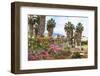 Ancient Agora, Bougainvillea and palm trees, Greek, Roman and Byzantine ruins, Kos Town, Kos, Dodec-Eleanor Scriven-Framed Photographic Print