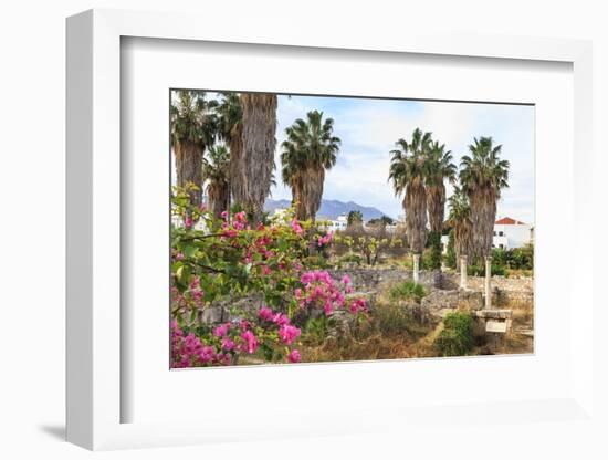 Ancient Agora, Bougainvillea and palm trees, Greek, Roman and Byzantine ruins, Kos Town, Kos, Dodec-Eleanor Scriven-Framed Photographic Print