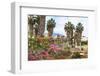 Ancient Agora, Bougainvillea and palm trees, Greek, Roman and Byzantine ruins, Kos Town, Kos, Dodec-Eleanor Scriven-Framed Photographic Print