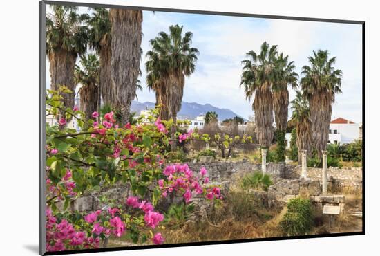 Ancient Agora, Bougainvillea and palm trees, Greek, Roman and Byzantine ruins, Kos Town, Kos, Dodec-Eleanor Scriven-Mounted Photographic Print