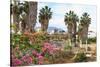 Ancient Agora, Bougainvillea and palm trees, Greek, Roman and Byzantine ruins, Kos Town, Kos, Dodec-Eleanor Scriven-Stretched Canvas