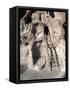 Ancient Anasazi Ruins and Cliff Dwellings in Rock, Bandlelier National Monument, New Mexico, USA-Charles Sleicher-Framed Stretched Canvas