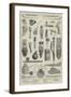 Ancient and Curious Tobacco-Pipes, from the International Exhibition-null-Framed Giclee Print