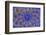 Ancient Arab Islamic Designs Blue Pottery, Madaba, Jordan-William Perry-Framed Photographic Print