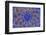 Ancient Arab Islamic Designs Blue Pottery, Madaba, Jordan-William Perry-Framed Photographic Print