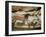 Ancient Artwork on the Walls of the Cave at Lascaux-null-Framed Photographic Print