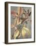 Ancient Autumn I-Steve Hunziker-Framed Art Print