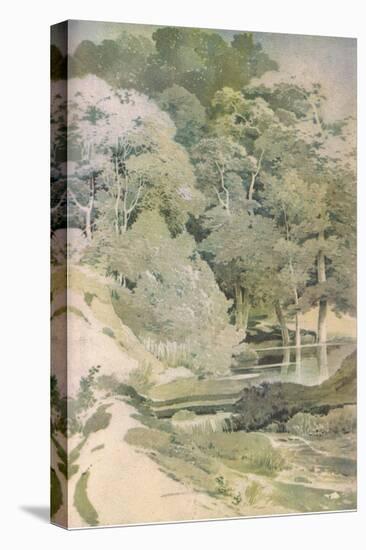 Ancient Beech in Windsor Forest, Nature in Britain Published by Collins, 1946 (Colour Litho)-Paul Sandby-Stretched Canvas