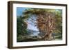 Ancient Beech Tree, 1794-Paul Sandby-Framed Giclee Print