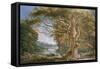 Ancient Beech Tree-Paul Sandby-Framed Stretched Canvas