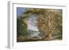 Ancient Beech Tree-Paul Sandby-Framed Giclee Print