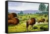 Ancient Bison-Mauricio Anton-Framed Stretched Canvas