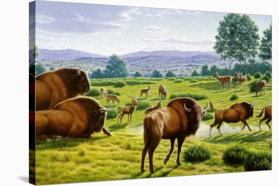 Ancient Bison-Mauricio Anton-Stretched Canvas