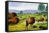 Ancient Bison-Mauricio Anton-Framed Stretched Canvas