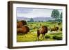 Ancient Bison-Mauricio Anton-Framed Photographic Print