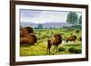 Ancient Bison-Mauricio Anton-Framed Photographic Print