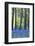 Ancient Bluebell Woodland in Spring-Alex Robinson-Framed Photographic Print