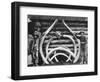 Ancient bones of Mastodons Photograph - Alaska-Lantern Press-Framed Art Print