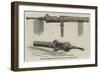 Ancient Breech-Loading Gun Found in British Guiana-null-Framed Giclee Print