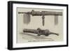 Ancient Breech-Loading Gun Found in British Guiana-null-Framed Giclee Print