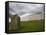 Ancient Burial Mound, Newgrange, County Meath, Republic of Ireland (Eire)-Jean Brooks-Framed Stretched Canvas