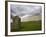 Ancient Burial Mound, Newgrange, County Meath, Republic of Ireland (Eire)-Jean Brooks-Framed Photographic Print