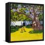 Ancient Campor Tree, Vergelegen Estate, South Africa-Andrew Macara-Framed Stretched Canvas