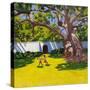 Ancient Campor Tree, Vergelegen Estate, South Africa-Andrew Macara-Stretched Canvas