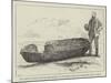 Ancient Canoe Found Recently in Cutting the Manchester Ship Canal-null-Mounted Giclee Print