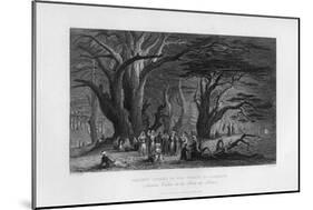 Ancient Cedars in the Forest of Lebanon, 1841-J Redaway-Mounted Giclee Print