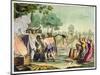 Ancient Celts or Gauls Sacrificing a Cow, circa 1800-18-Vittorio Raineri-Mounted Giclee Print