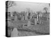 Ancient Cemetery in Sandwich-null-Stretched Canvas