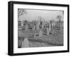 Ancient Cemetery in Sandwich-null-Framed Photographic Print