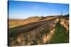 Ancient Chalk White Horse in Landscape at Cherhill Wiltshire England during Autumn Evening-Veneratio-Stretched Canvas