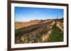 Ancient Chalk White Horse in Landscape at Cherhill Wiltshire England during Autumn Evening-Veneratio-Framed Photographic Print
