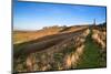 Ancient Chalk White Horse in Landscape at Cherhill Wiltshire England during Autumn Evening-Veneratio-Mounted Photographic Print