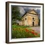 Ancient church ruin surrounded by bright reed poppies. Montalcino. Tuscany, Italy.-Tom Norring-Framed Photographic Print