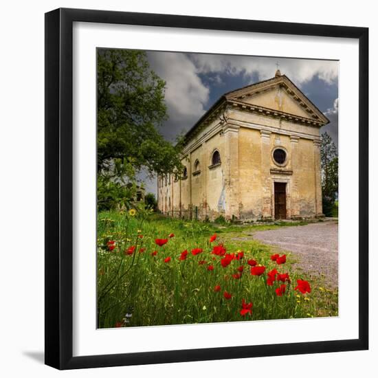 Ancient church ruin surrounded by bright reed poppies. Montalcino. Tuscany, Italy.-Tom Norring-Framed Photographic Print